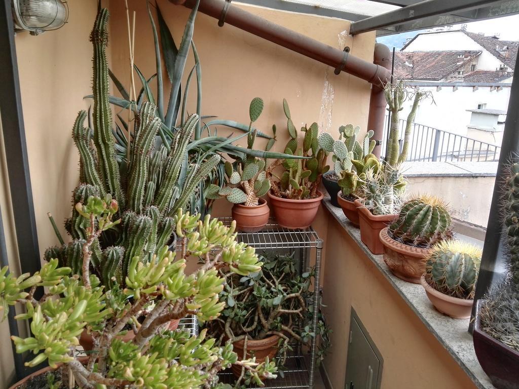 トリノ A Casa Di Gio Bed & Breakfast エクステリア 写真
