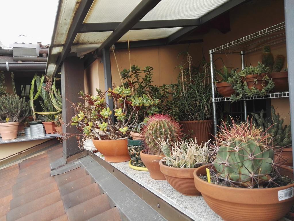 トリノ A Casa Di Gio Bed & Breakfast エクステリア 写真